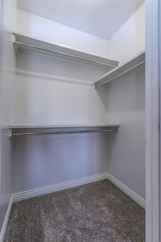 spacious closet with carpet