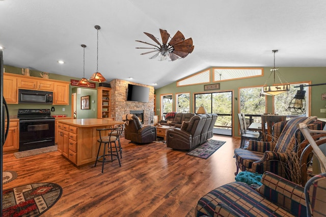22584 Air Park Dr, Golden, MO 65658 - photo 17