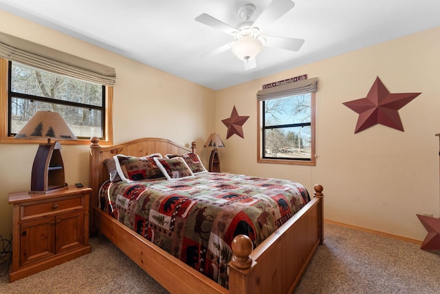 22584 Air Park Dr, Golden, MO 65658 - photo 25