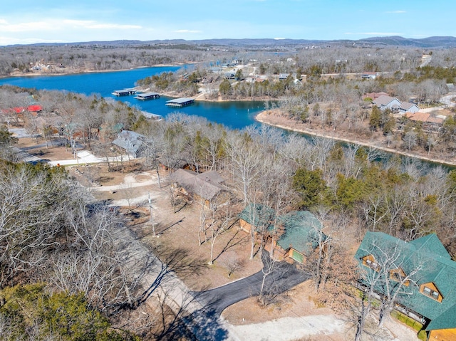22584 Air Park Dr, Golden, MO 65658 - photo 50