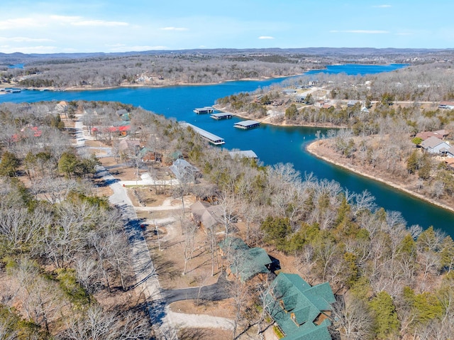 22584 Air Park Dr, Golden, MO 65658 - photo 51