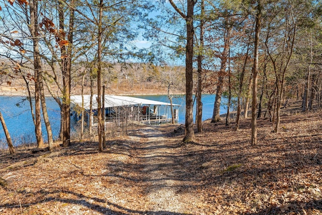 22584 Air Park Dr, Golden, MO 65658 - photo 45