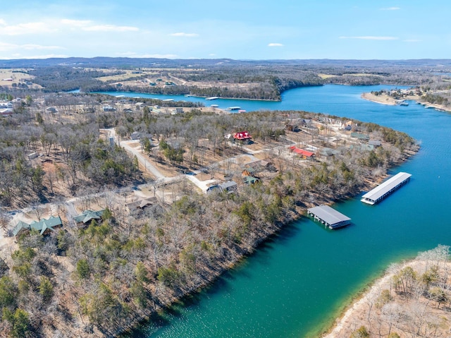 22584 Air Park Dr, Golden, MO 65658 - photo 55