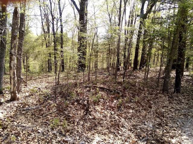 000 Serenity Ridge Rd, Ozark MO, 65721 land for sale