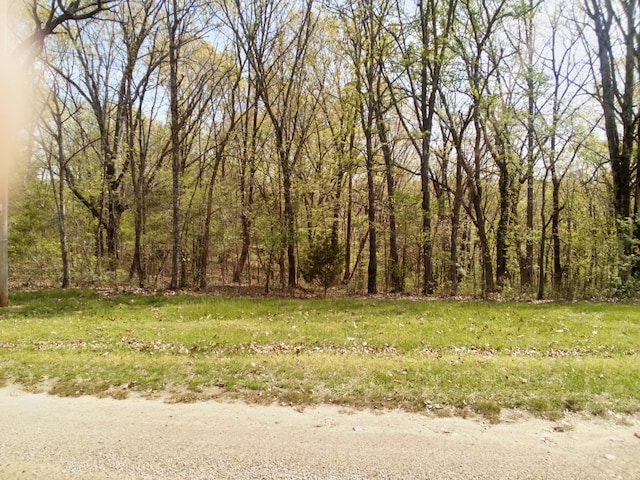 Listing photo 2 for 000 Serenity Ridge Rd, Ozark MO 65721