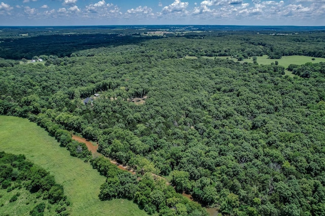 bird's eye view with a forest view