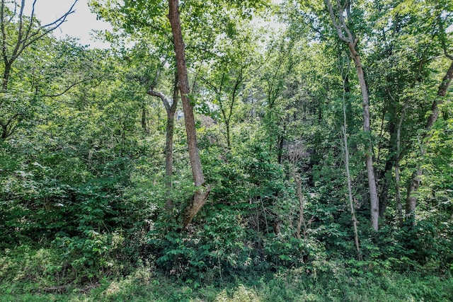 view of nature with a forest view