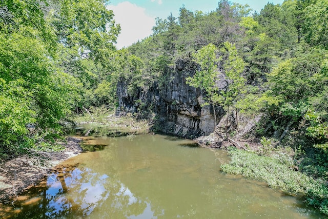 water view featuring a wooded view