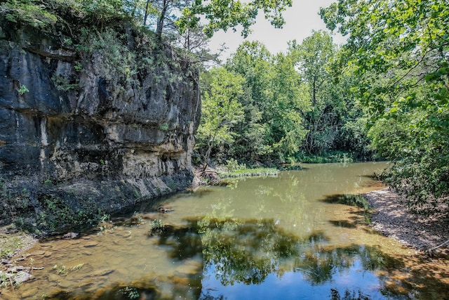 property view of water featuring a forest view