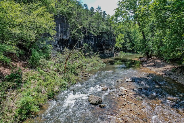 view of local wilderness with a wooded view