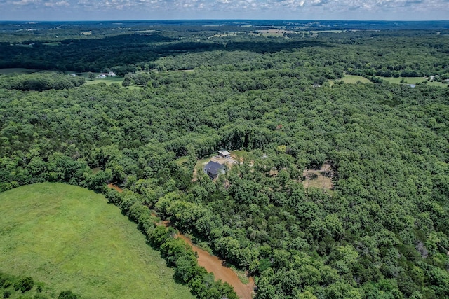 bird's eye view with a forest view