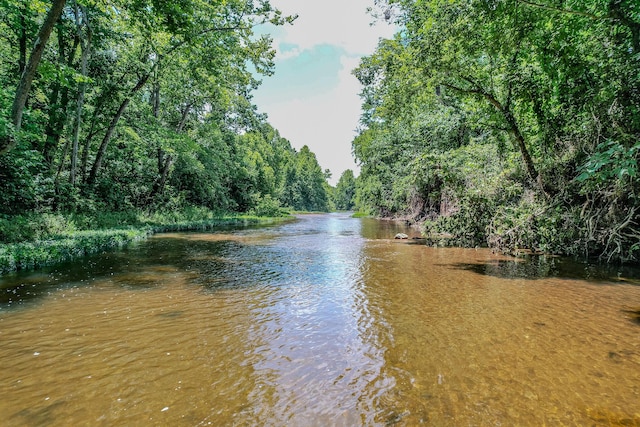 property view of water featuring a forest view