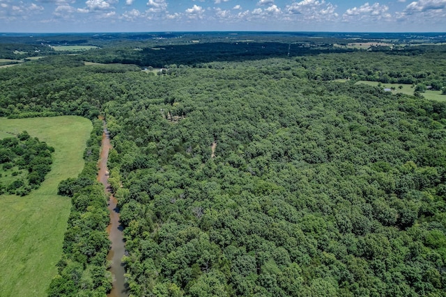 aerial view with a wooded view