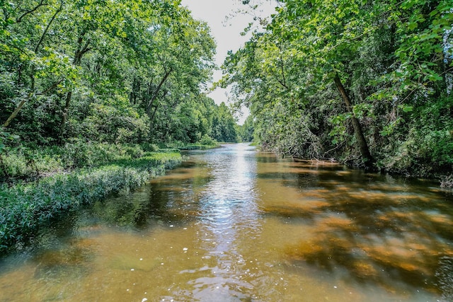 water view with a view of trees