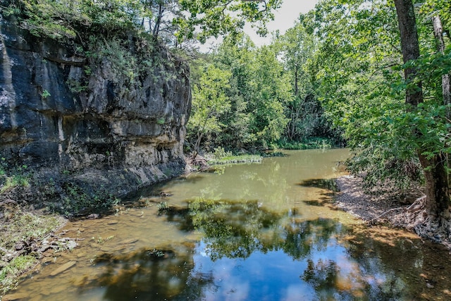 property view of water with a wooded view