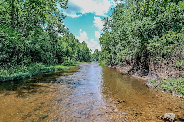 property view of water featuring a forest view