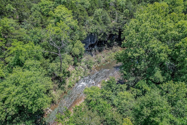 bird's eye view with a wooded view