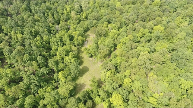 10824 Upper Janes Creek Rd, Ravenden, AR 72459