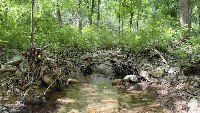 10824 Upper Janes Creek Rd, Ravenden, AR 72459