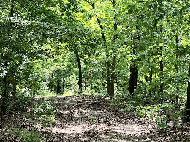 10824 Upper Janes Creek Rd, Ravenden, AR 72459