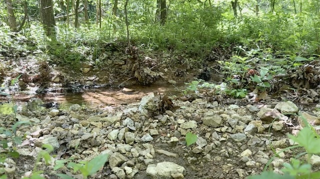 10824 Upper Janes Creek Rd, Ravenden, AR 72459