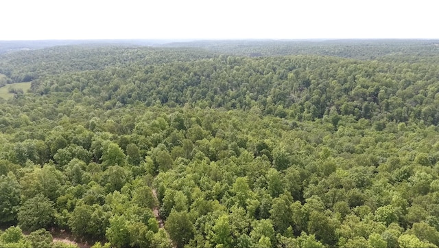 10824 Upper Janes Creek Rd, Ravenden, AR 72459