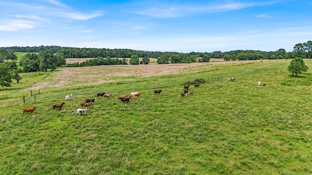 3503 County Road 7640, West Plains, MO 65775 - photo 55