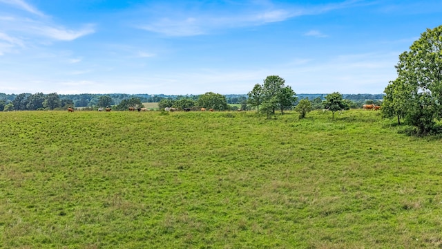 3503 County Road 7640, West Plains, MO 65775 - photo 56