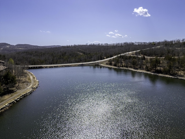 water view with a wooded view