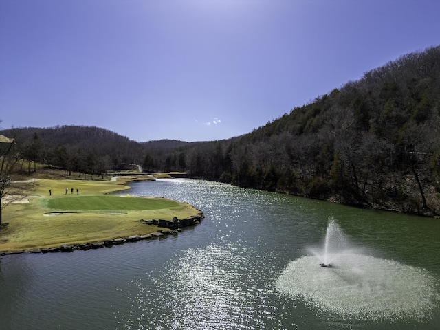 water view with a wooded view