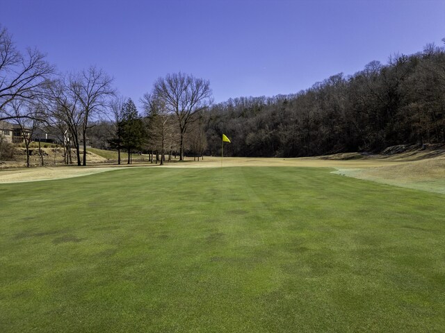 surrounding community featuring a yard