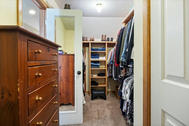 spacious closet with carpet floors