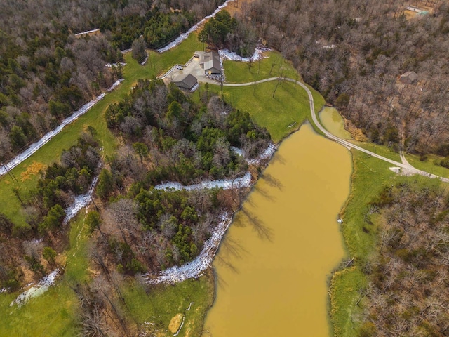 80 Serenity Ct, Gepp, AR 72538 - aerial view featuring a water view and a view of trees