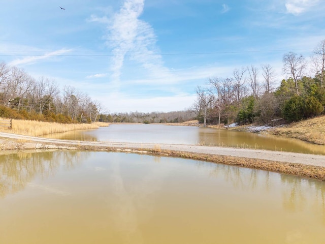 80 Serenity Ct, Gepp, AR 72538 - view of water feature