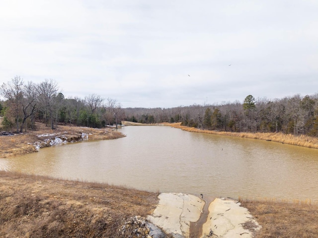 80 Serenity Ct, Gepp, AR 72538 - water view featuring a wooded view