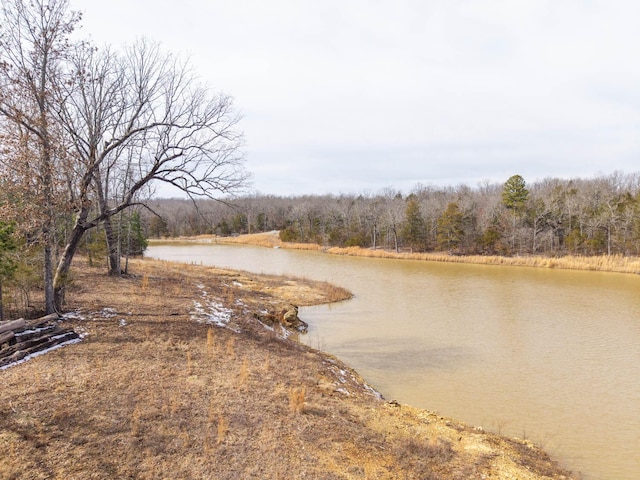 80 Serenity Ct, Gepp, AR 72538 - water view with a wooded view
