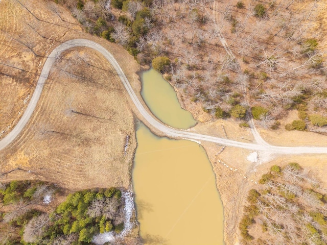 80 Serenity Ct, Gepp, AR 72538 - drone / aerial view