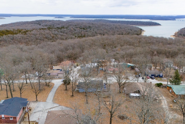 bird's eye view featuring a water view and a view of trees