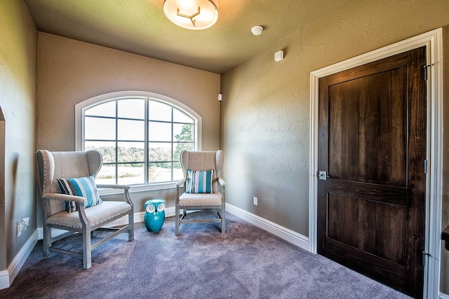 sitting room featuring carpet, baseboards, and a textured wall