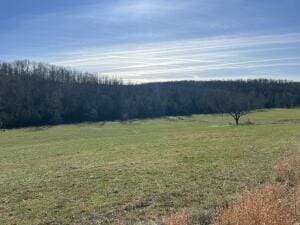 TRACT7C Rte 4, Squires MO, 65755 land for sale