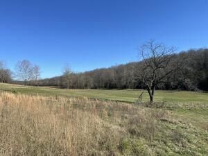 Listing photo 2 for TRACT7C Rte 4, Squires MO 65755