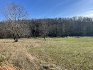 Listing photo 3 for TRACT7C Rte 4, Squires MO 65755