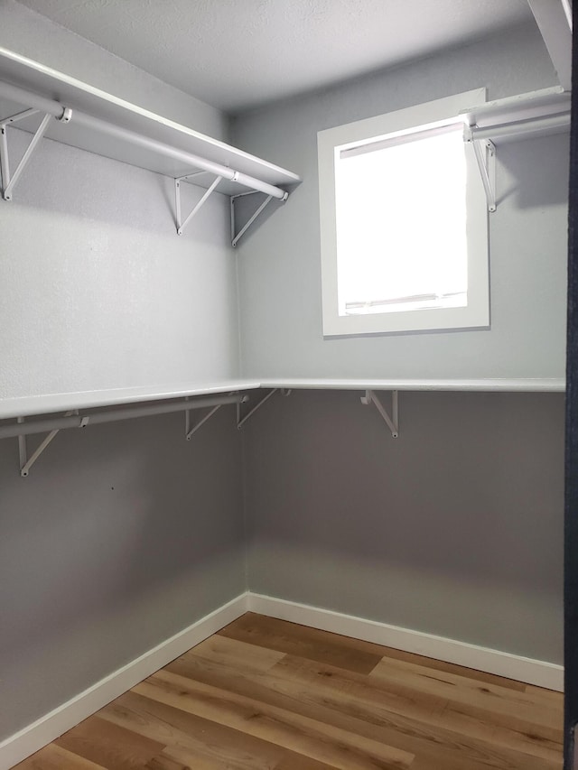 spacious closet featuring wood finished floors