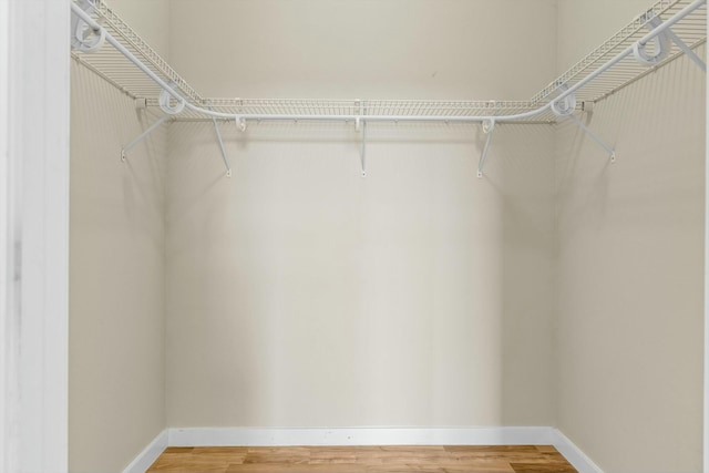 spacious closet with wood finished floors