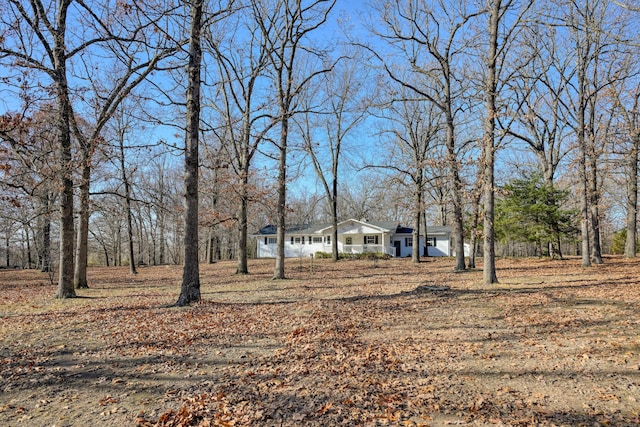 view of yard featuring an attached garage