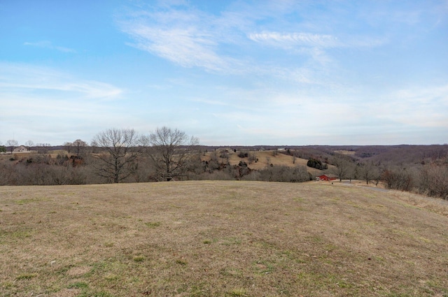 view of yard with a rural view