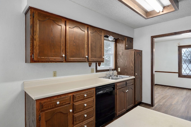 kitchen with black dishwasher, light wood-style flooring, a sink, and a wealth of natural light