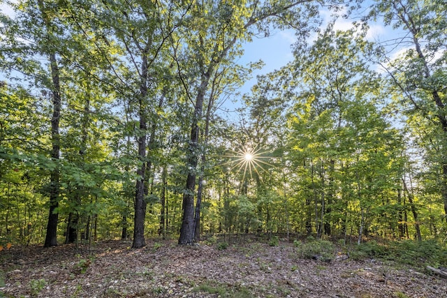 view of local wilderness featuring a view of trees