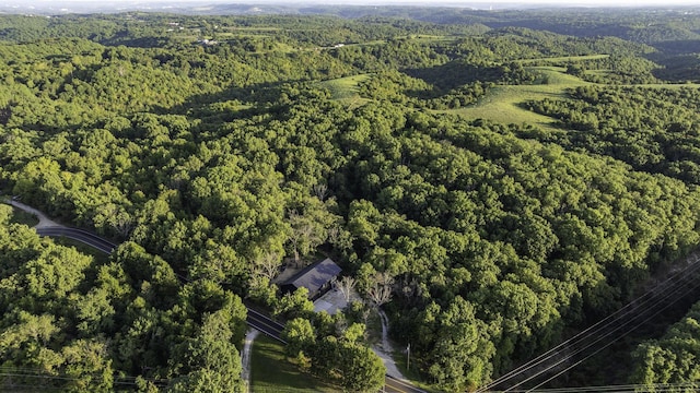 bird's eye view featuring a view of trees