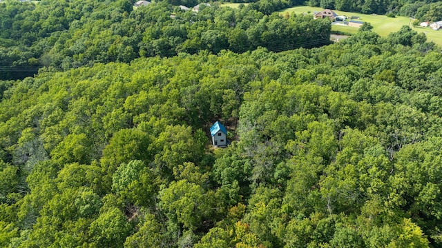 bird's eye view with a view of trees